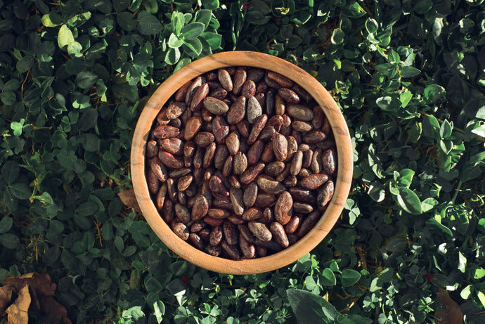 What are Cacao Nibs?